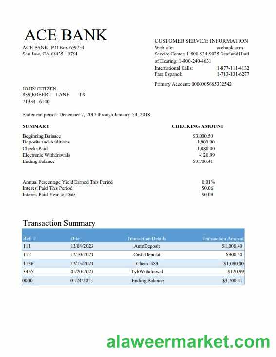 USA ACE bank statement Word and PDF template